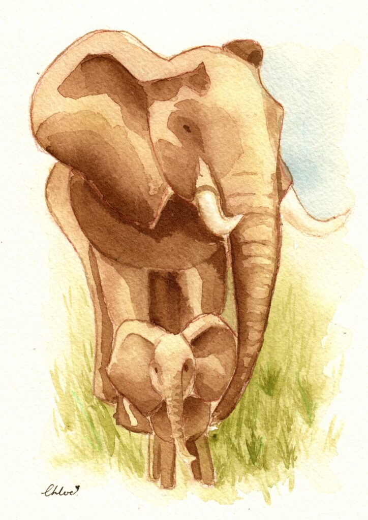 elephant duo cropped