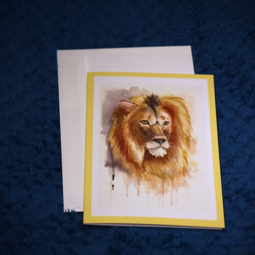 img 7311 img 7311