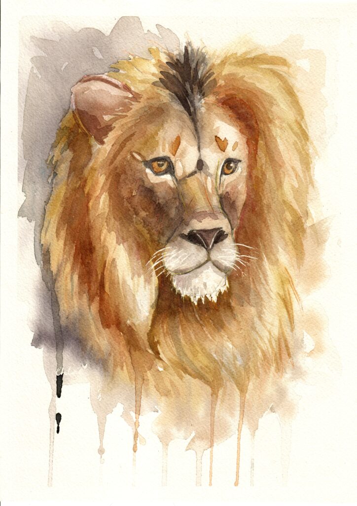 lion final