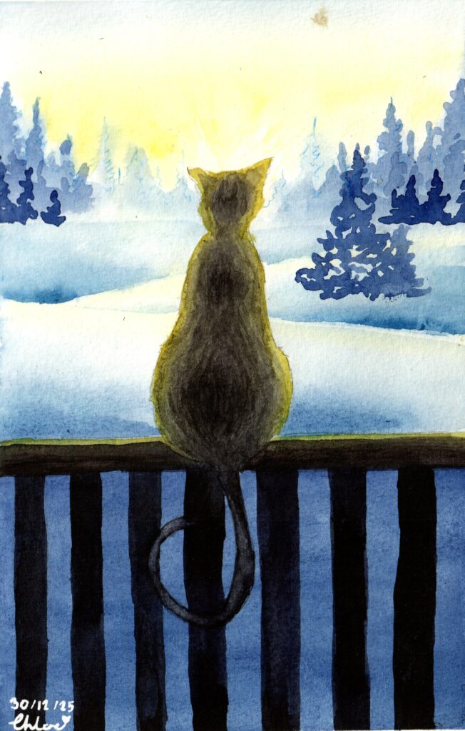 snowy cat
